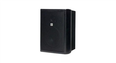 Loa treo tường 30W CSB-50CV