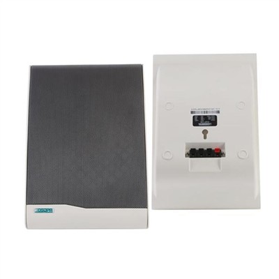 Loa treo tường - DSP 106 II
